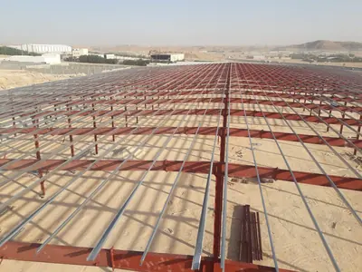 Steel roof purlins
